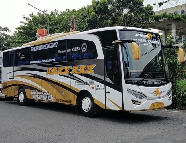 Bus Surabaya Jember Lewat Tol Harga Tiket 80rb 2024