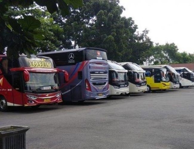 Bus Jogja Bogor - Photo by Tribun Jogja