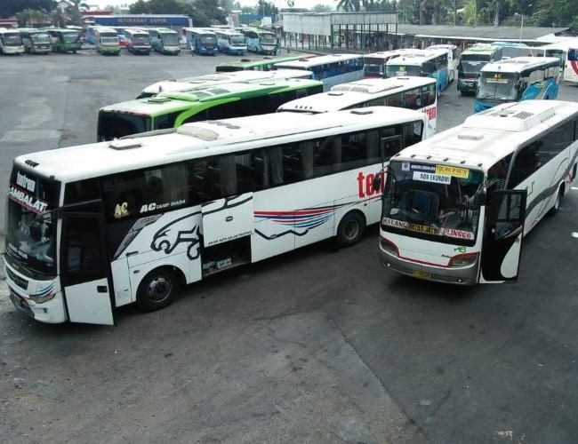 Bus Jogja Malang - Photo by Google