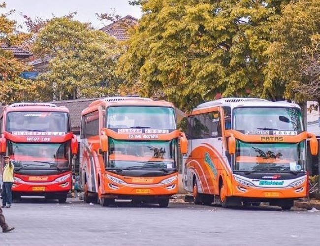 Bus Jogja Purwokerto - Photo by Google