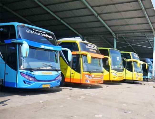 Bus Semarang Cirebon - Photo by Beta News