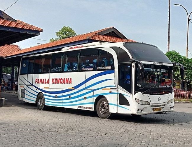 Pahala Kencana Bus Semarang Bali - Photo by Wikipedia
