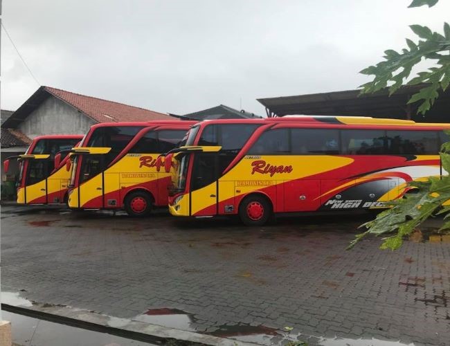 Bus Semarang Jogja - Photo by Dunia Bis