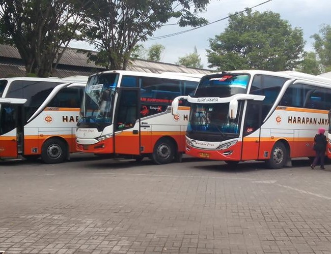 Bus Semarang Surabaya - Photo by Dunia Bus
