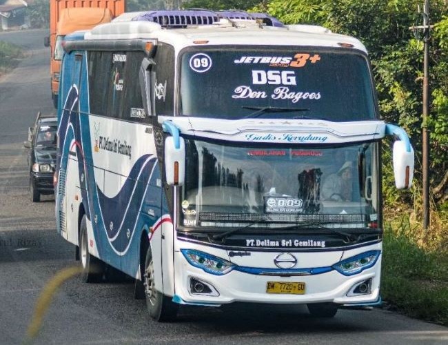 Delima Sri Gemilang Bus Semarang Jogja - Photo by Official Site